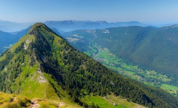 Colombier