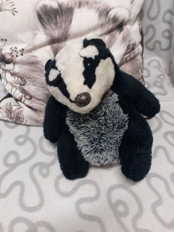 Billy Badger