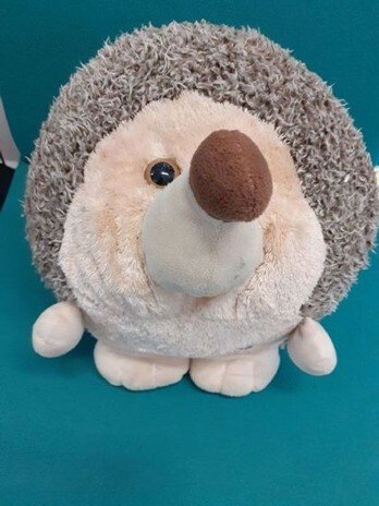 Harry Hedgehog